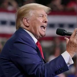 (我的安吉拉原版)我的安吉拉:一个永远留在我心中的美丽回忆 (我的安吉拉原版)我的安吉拉:一个永远留在我心中的美丽回忆