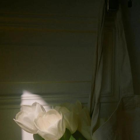 (幸运之星是真的吗)幸运之星适合什么人使用:寻求改变命运和提升运气的人群 (幸运之星是真的吗)幸运之星适合什么人使用:寻求改变命运和提升运气的人群