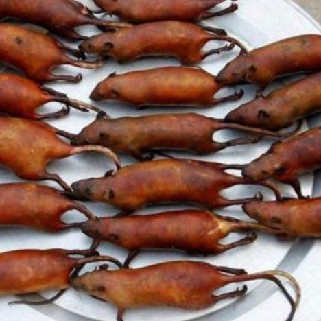 微信天天爱料理一共多少关?快来揭开这个美食挑战的神秘面纱! 微信天天爱料理一共多少关?快来揭开这个美食挑战的神秘面纱!