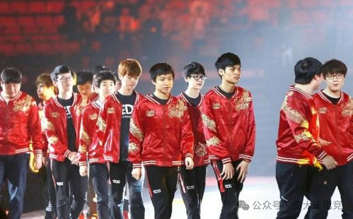 探寻巅峰队队员的精彩故事：他们如何成为精英，征服比赛赢得荣耀
